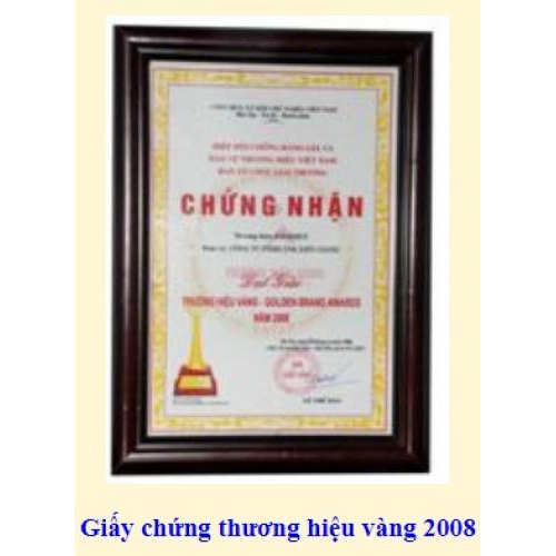 Thành tích công ty đạt được qua các năm từ 2000 - 2009